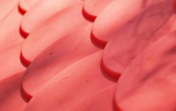 Mol Chlach plastic roof costs