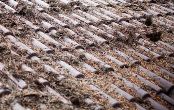 Mol Chlach roof cleaning companies