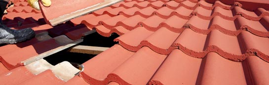 compare Mol Chlach roof repair quotes