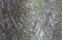 Mol Chlach fibreglass roof work